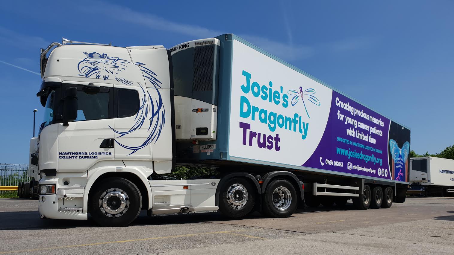 Josie's Dragonfly Trust